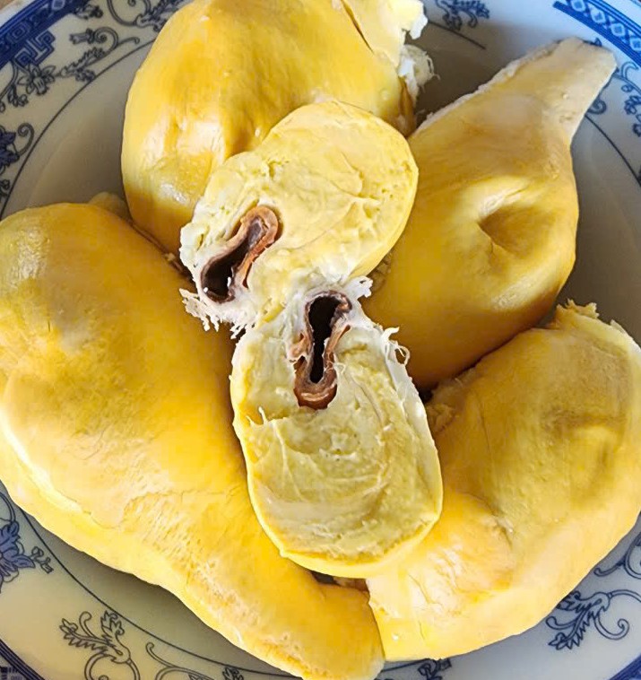 htxdvnntanphu.biz.vn