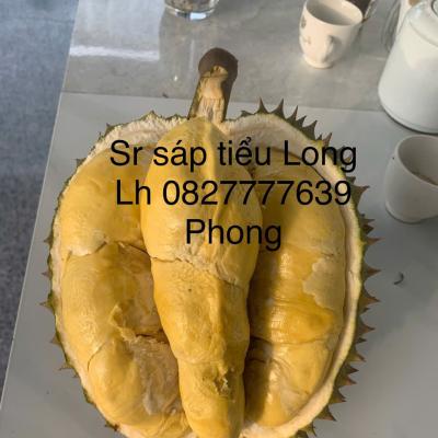 Sầu riêng sáp Tiểu Long